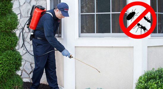 Evka 3 Fare İlaçlama böcek ilaçlama ve haşere kontrolü — ilaclama-tr.com